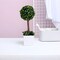 Green 16" ARTIFICIAL Mini Boxwood Ball Topiary Tree White PLANTER POT Party Home